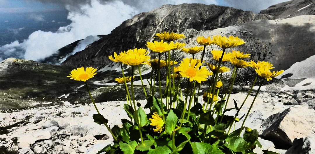 Scuole di trekking collegio guide alpine Abruzzo – Aigae e Cai - TrekkinGuide