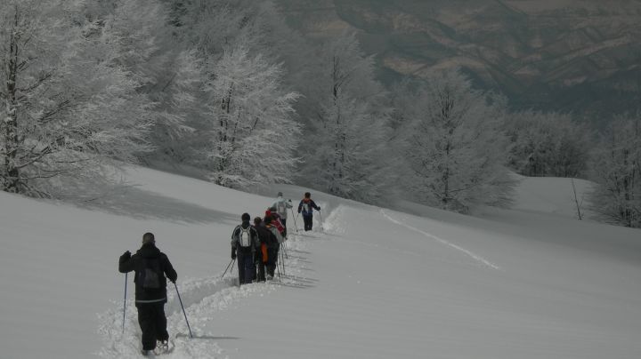 Ciapolata alle Pendici del Monte Girella - Trekkinguide